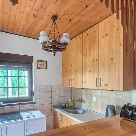 Pet Friendly In Vakantiehuis Boruja