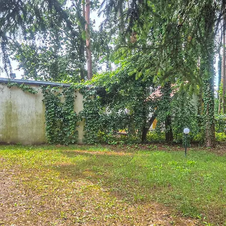 Pet Friendly In Boruja