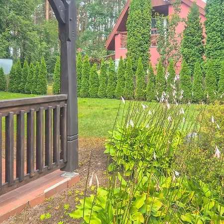 Vakantiehuis Pet Friendly In *