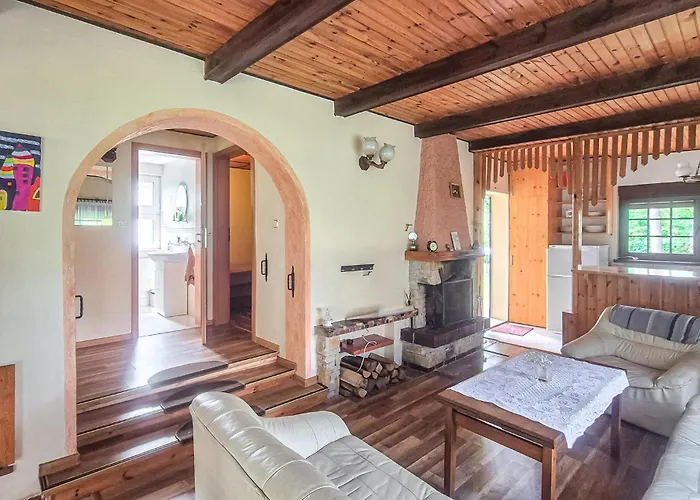 Pet Friendly In Boruja