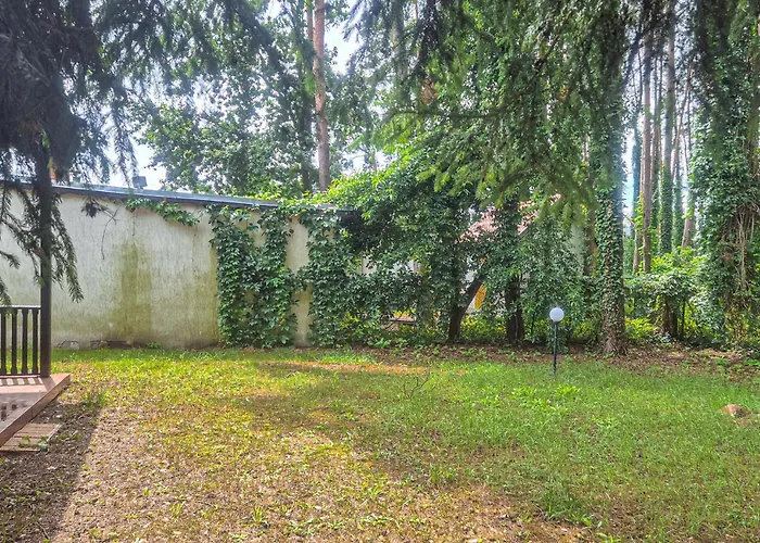 Pet Friendly In Boruja